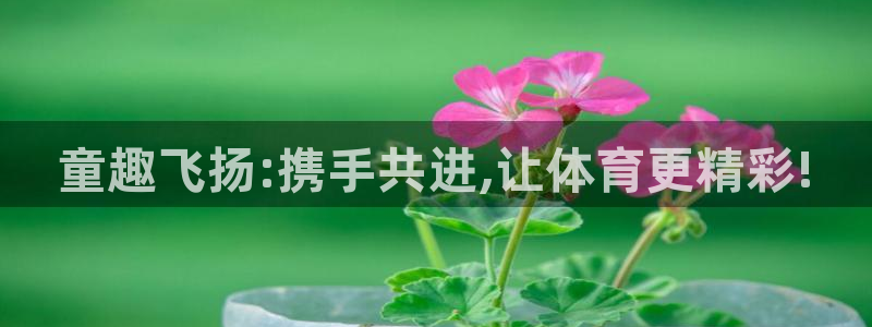 米兰体育官方正版app娱乐网站:童趣飞扬:携手共进,让体育更