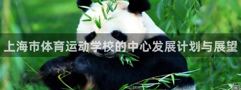 米兰体育官方正版app神州:上海市体育运动学校的中心发展计划